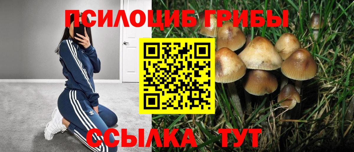 Галлюциногенные грибы MAGIC MUSHROOMS  Вход с VPN  Ефремов 