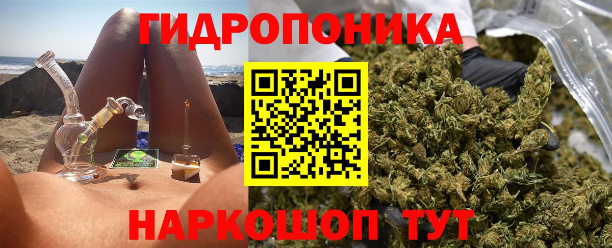 Шишки марихуана семена  Конопля White Widow  Вход с VPN  Ефремов 